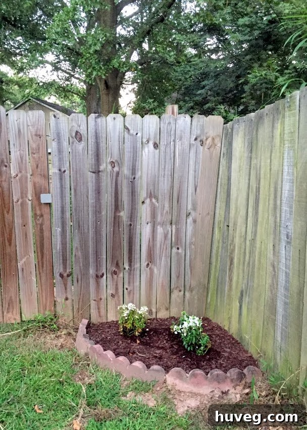 Corner flower bed clean up and new planting area creation