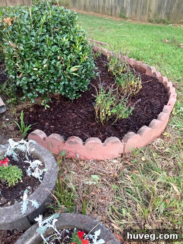 Garden bed dramatically improved with fresh mulch and newly planted flowers