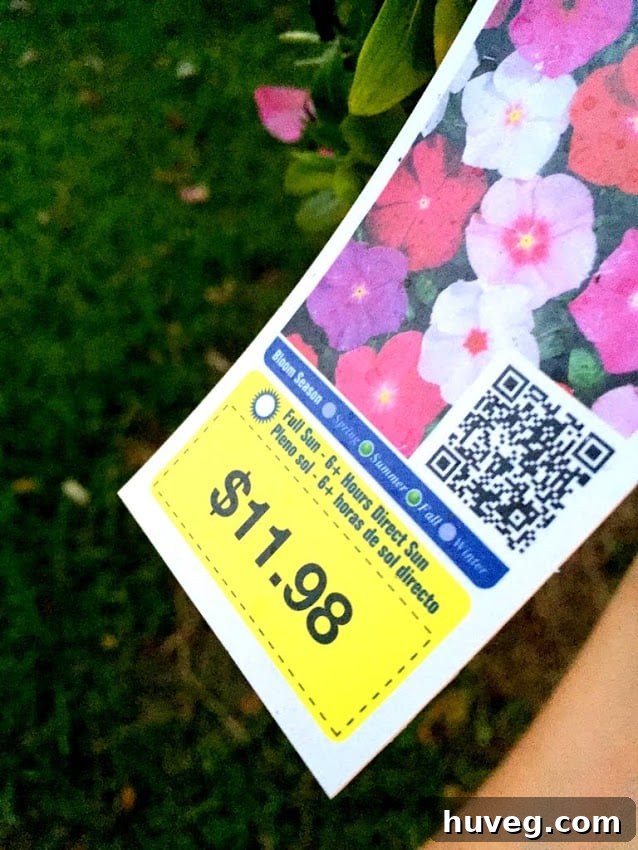 Full price versus clearance flowers: demonstrating significant savings