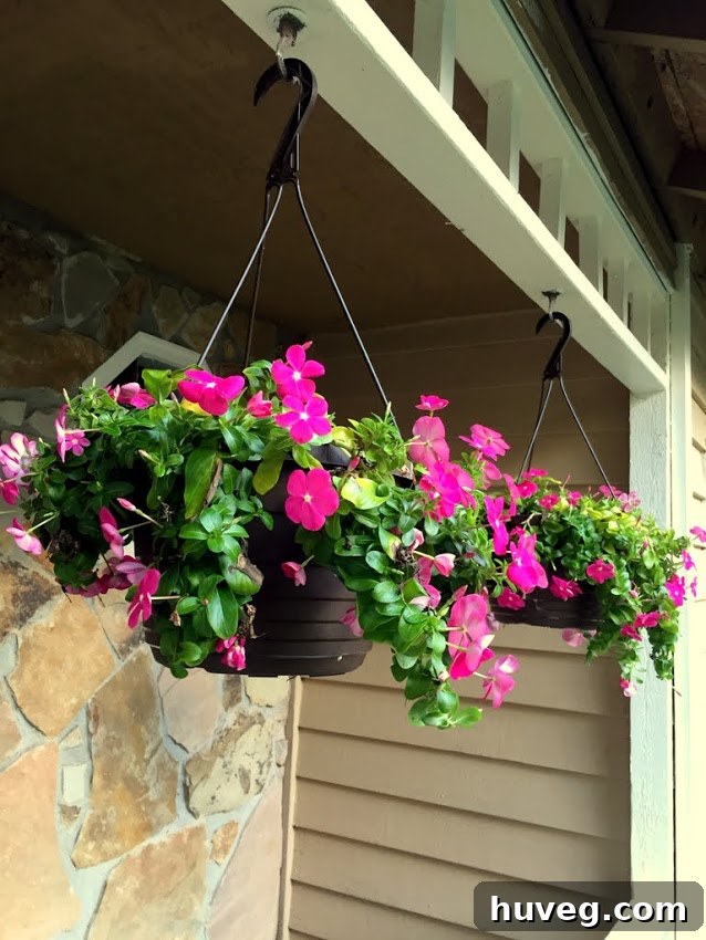 Beautiful vinca flowers hanging on the porch after a budget-friendly purchase