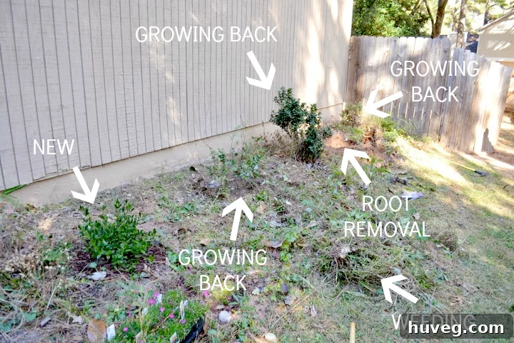 Flower bed work in progress by the garage, showing initial landscaping efforts