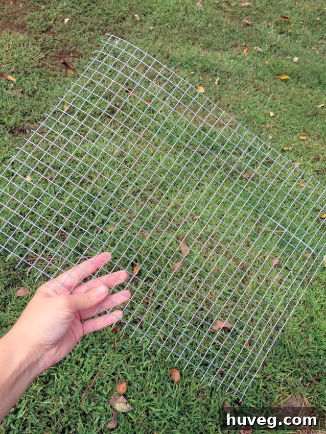 how to get rid of attic squirrels
