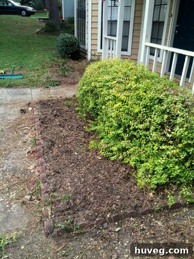 Existing front garden with new hanging baskets