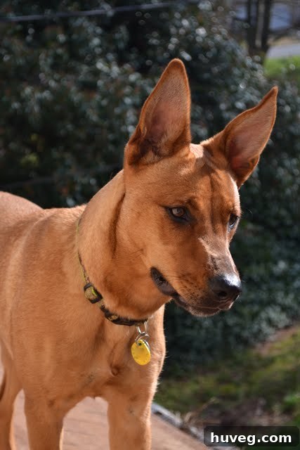 Charlie