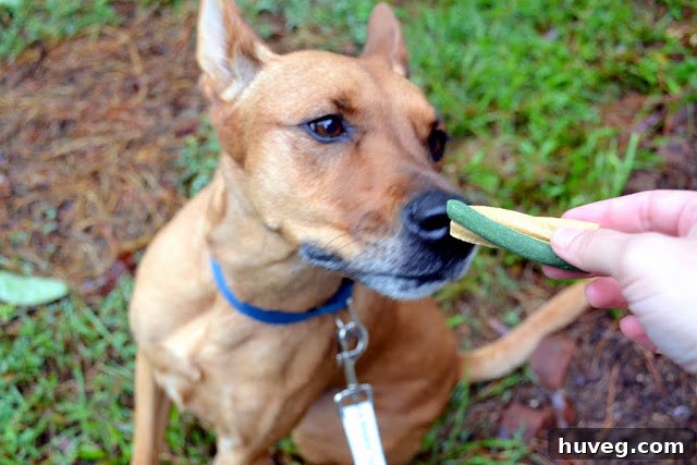 Charlie-approved treat