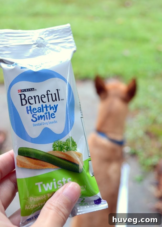 Beneful Healthy Smile Twists
