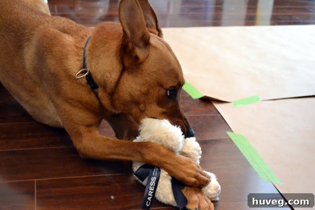 Charlie and a plush toy