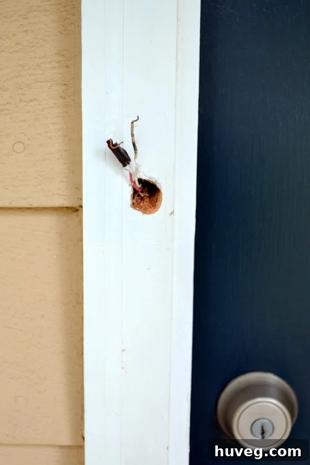 I drilled a larger hole in the doorframe to fit the back of the doorbell in by the wires.