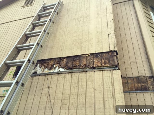 Extensive Wood Rot Repair on Exterior Siding