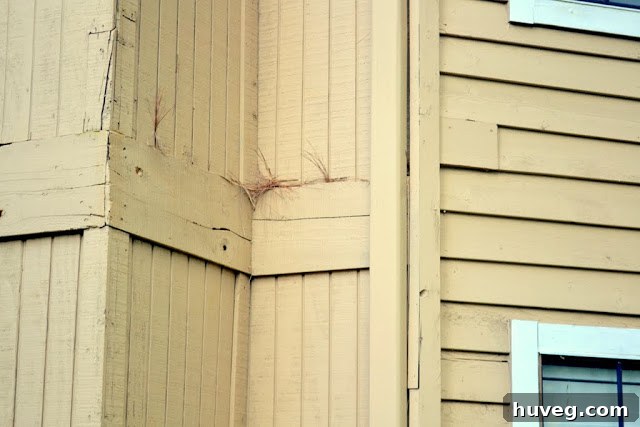 Chimney Siding Damage from Woodpeckers