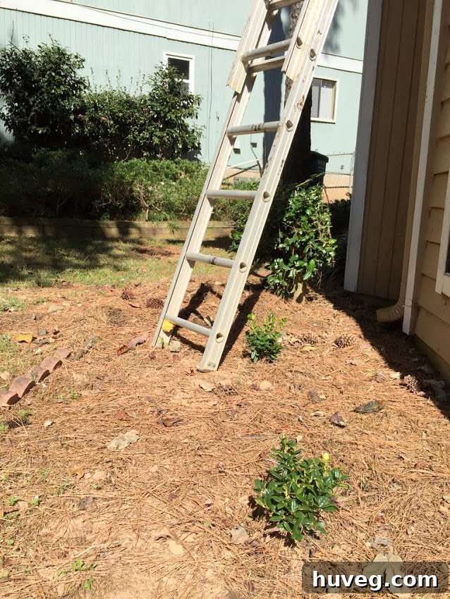 Cranky Chick Outdoor Updates