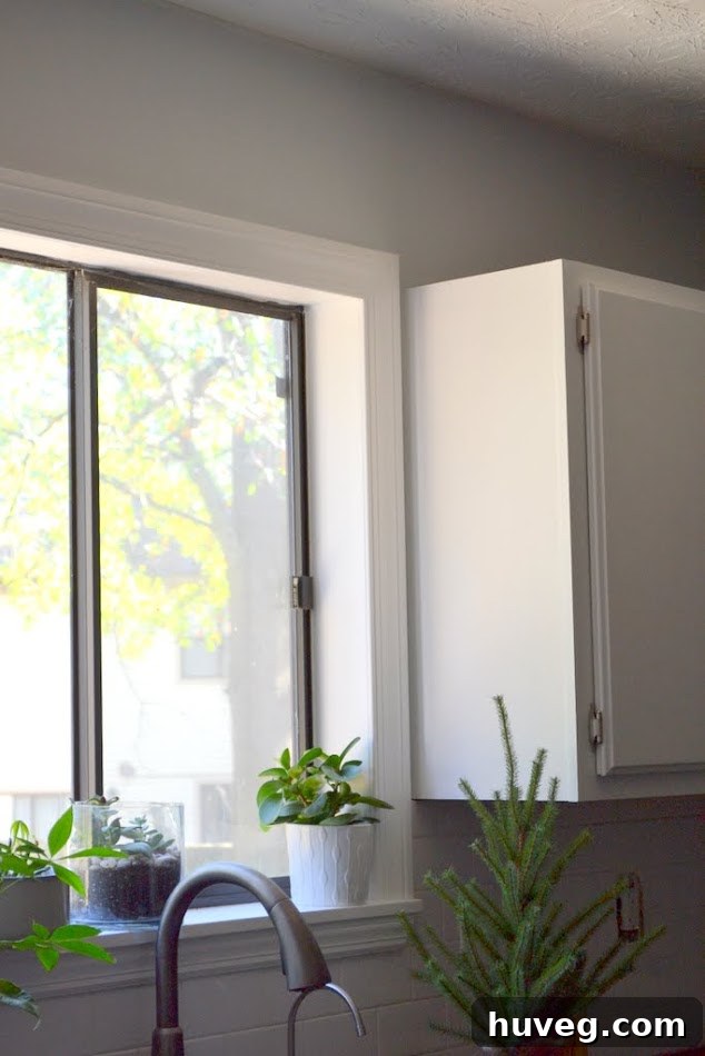 Vertical shot of the kitchen walls painted in Cold Steel by Olympic, highlighting the elegant color.