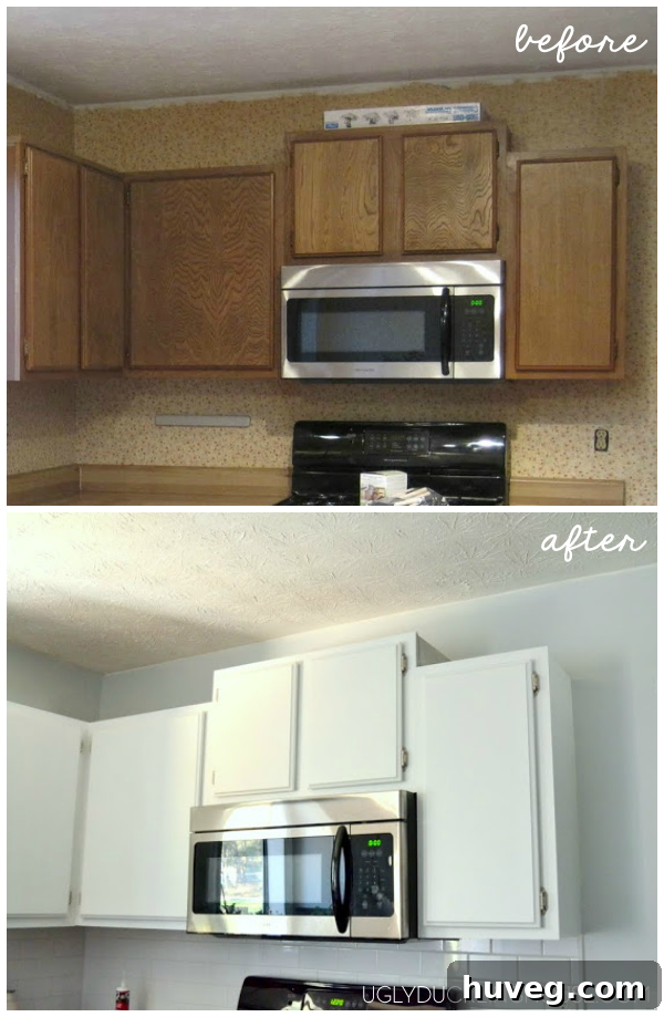 Future plans for a kitchen cabinet makeover, illustrating potential updates and stylistic changes.