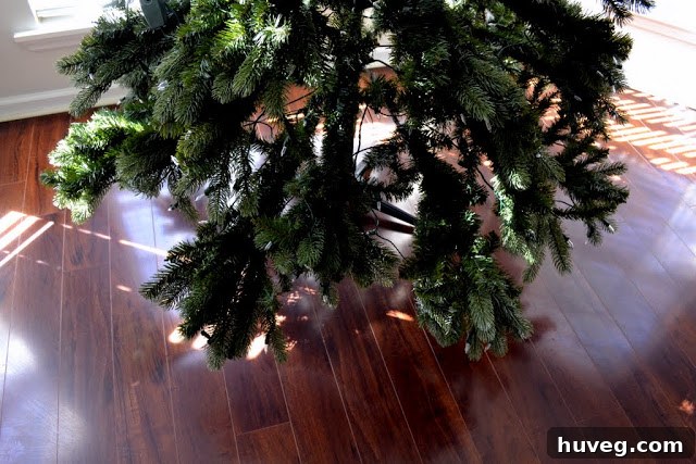Christmas tree standing tall in a now cleaner living room, ready for decorating.