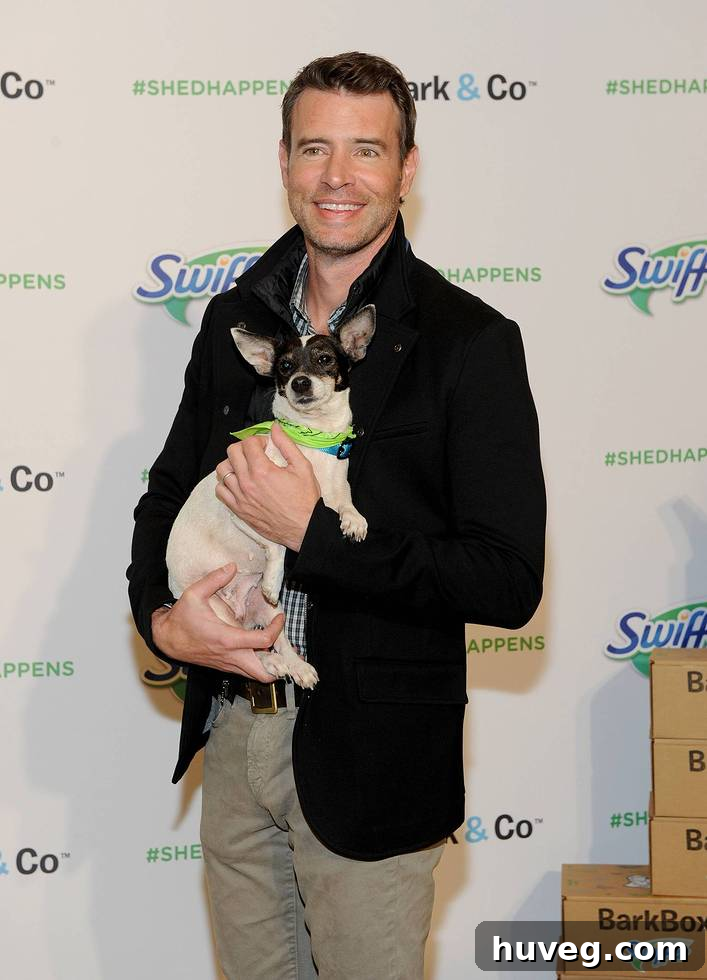 Actor Scott Foley holding a cute rescue dog, promoting Swiffer's Welcome Home campaign.