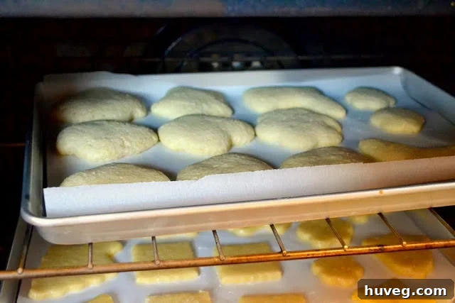 classic sugar cookie on piece of parchment paper and baking sheet (hard boiled egg cookies)