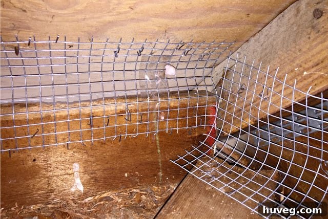 Using hardware cloth to cover attic squirrel access points and deter further intrusion