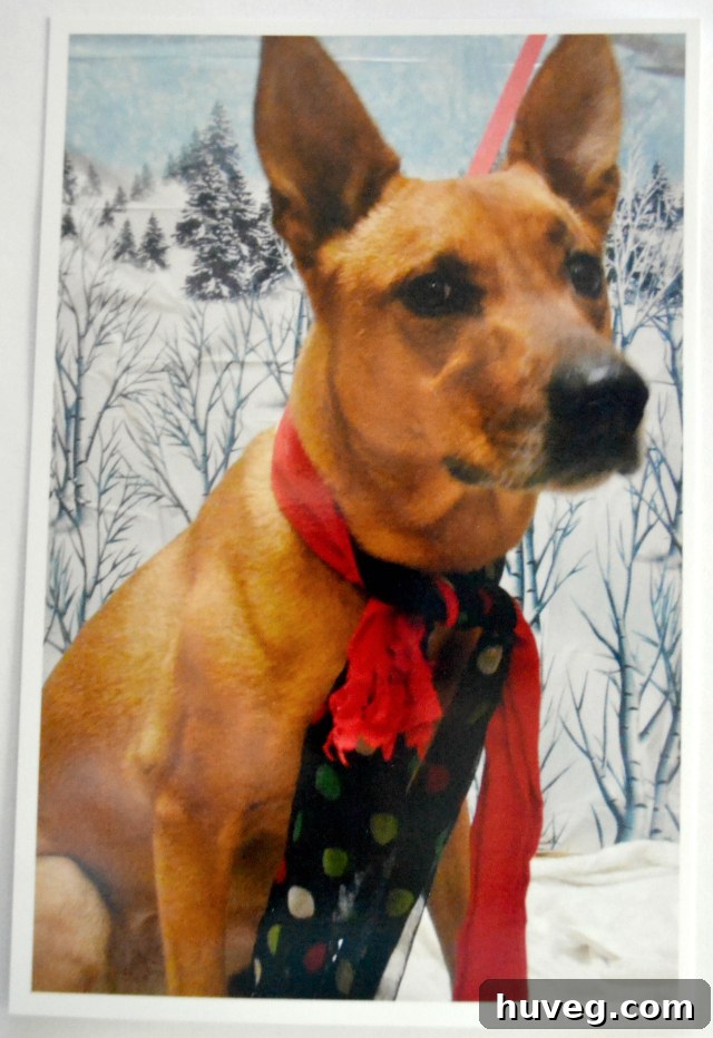 Charlie Merry Christmas