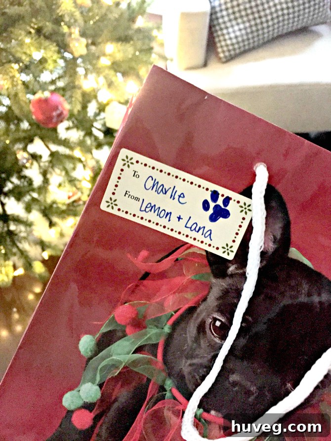 Festively wrapped gifts for Charlie, presented by her dog cousins Lemon and Lana, with holiday ribbons and tags.