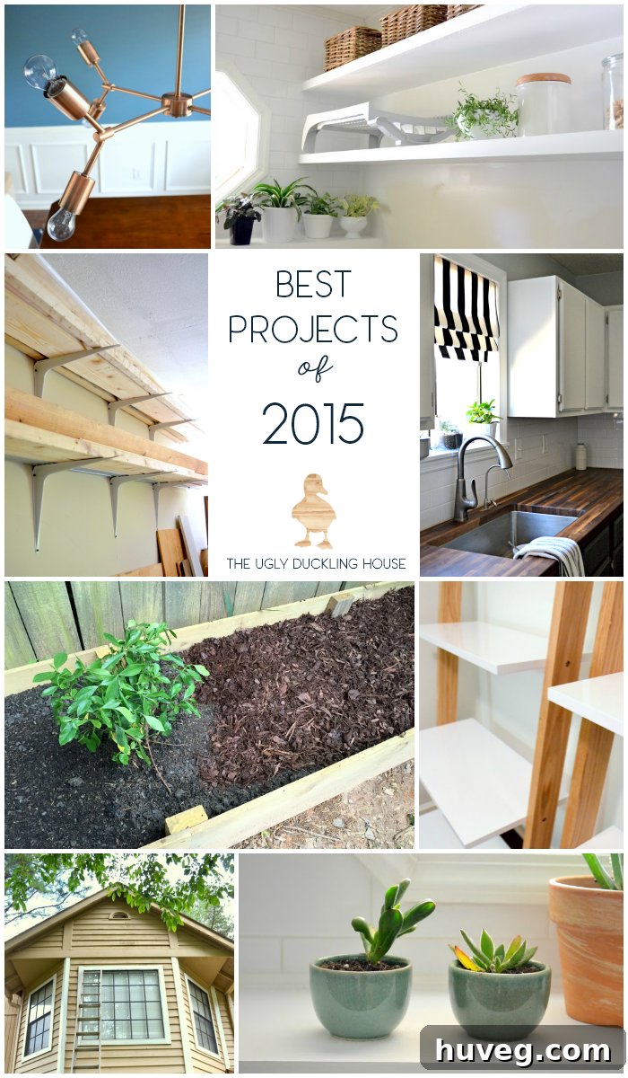best projects of 2015