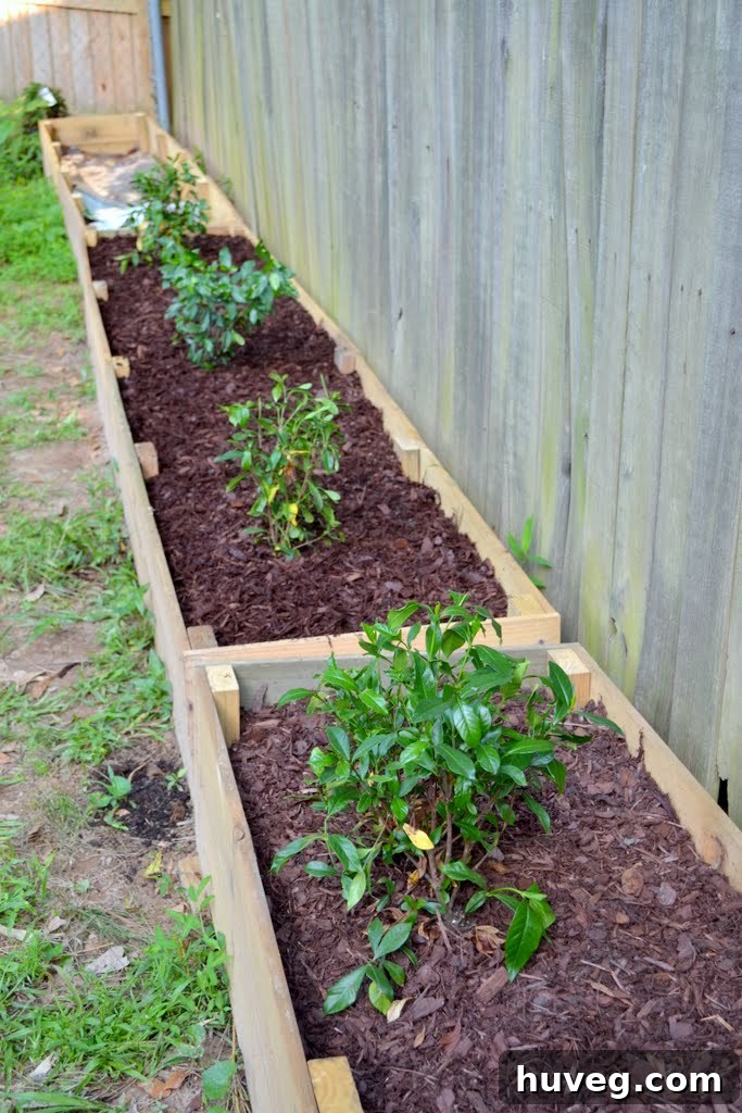 diy raised garden beds