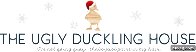 Creative blog logo design: a festive Santa duck for holiday cheer.