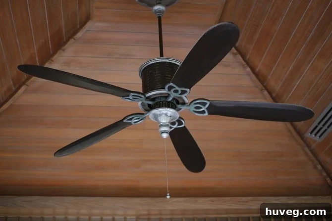 ceiling fan