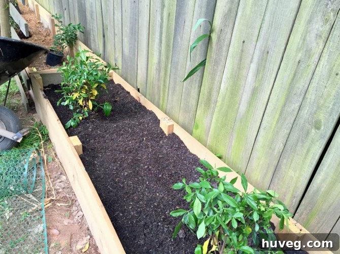 DIY raised garden beds constructed using repurposed stump fill