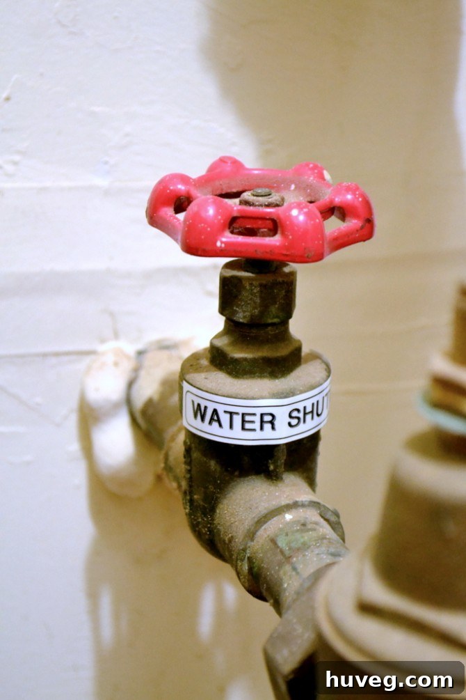 Locating and labeling your home's main water shutoff valve is crucial for emergency preparedness, minimizing potential water damage.