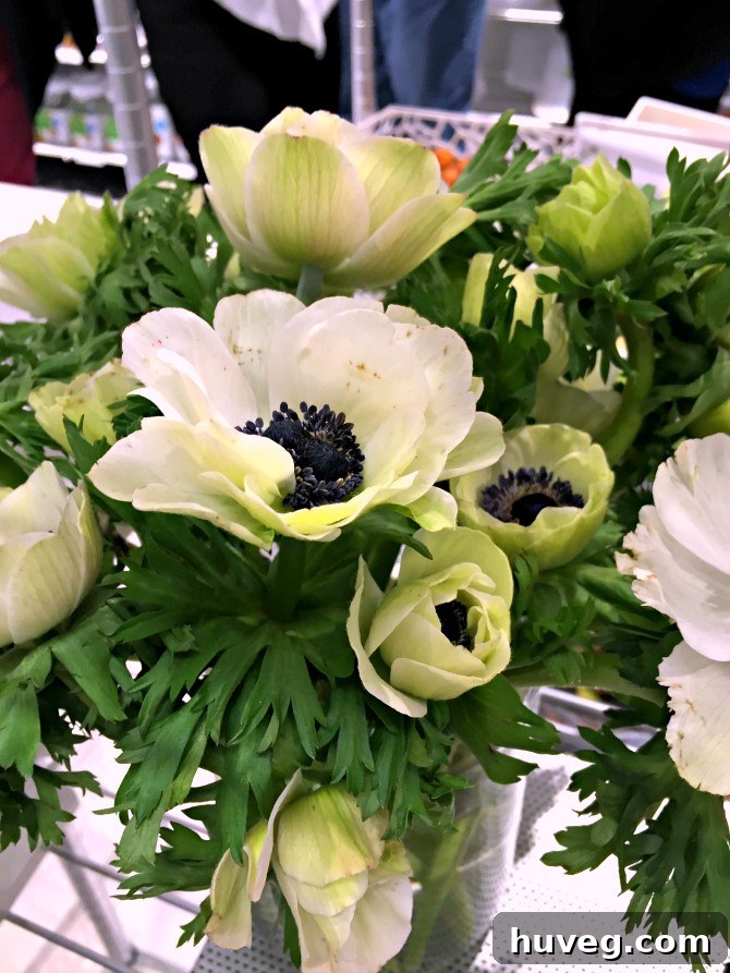 white anemones