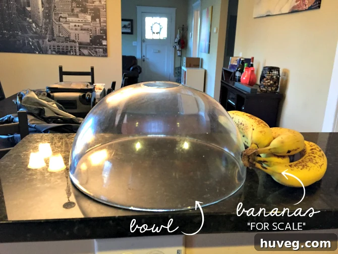 bananas for scale
