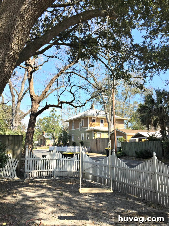 Airbnb Savannah swing