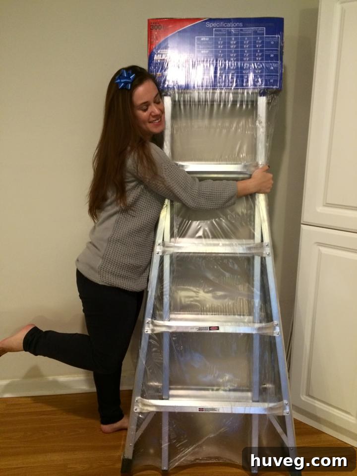 DIYer hugging a ladder after successful home renovation project