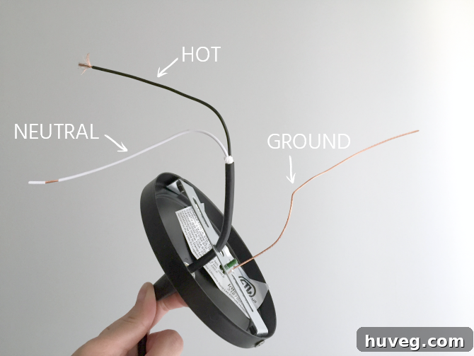 Identifying Ground, Neutral, and Hot Wires in Light Fixture