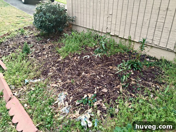 Close-up of garden bed showing effective weed suppression from newspaper layering