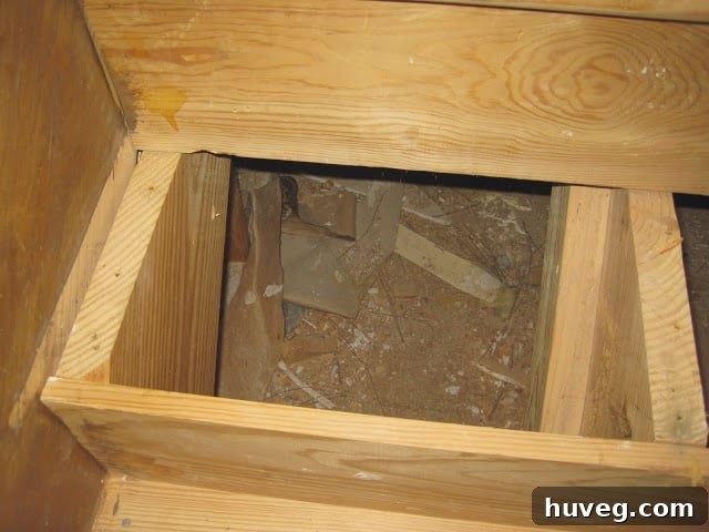 Construction debris and trash found under the stairs