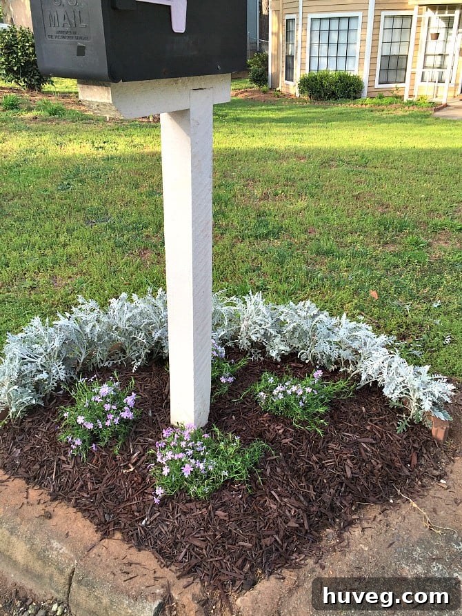 phlox mailbox garden bed