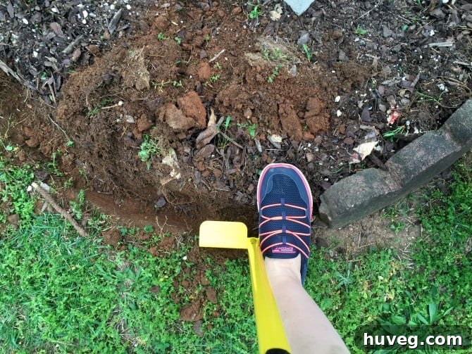 edging the mailbox garden bed