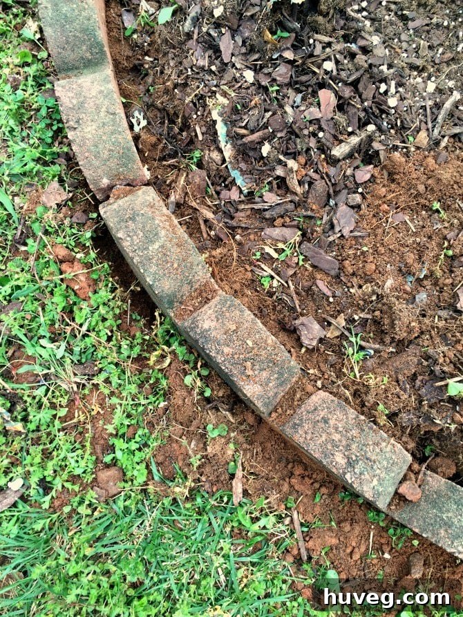 compacting soil around edger stones