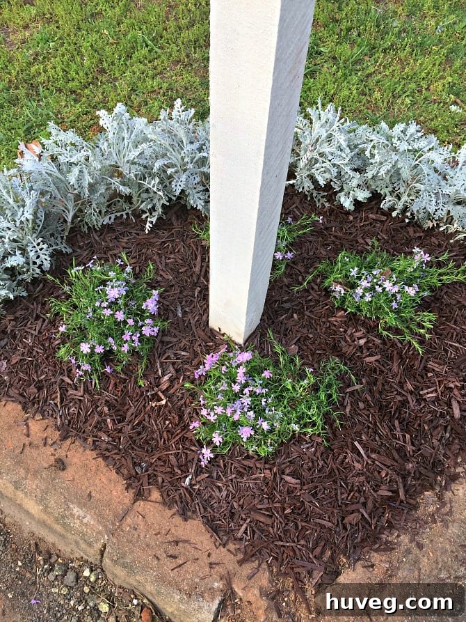 mailbox garden bed