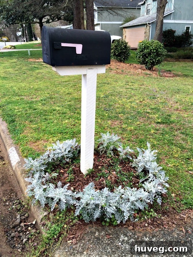 mailbox before