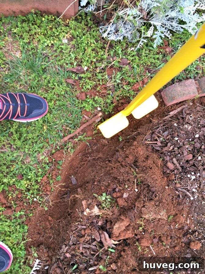 edger tool helps dig in compacted soil