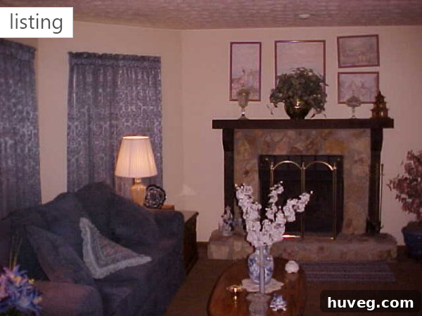 Original house listing photo from 2009, showcasing a dated and uninviting living room interior before renovation.