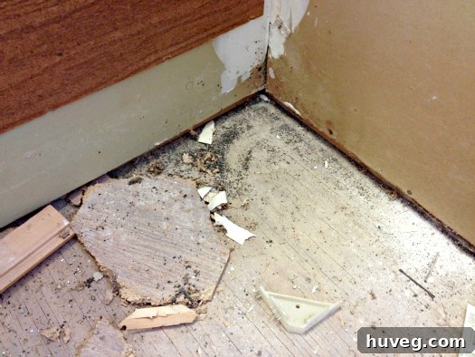 Pile of dirt and debris in bathroom corner
