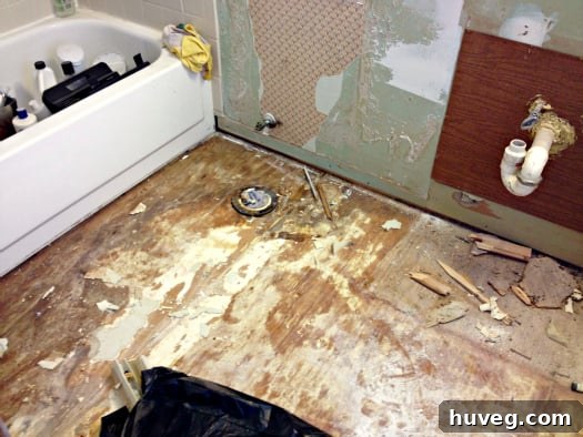 Cleaned bathroom corner after frass removal