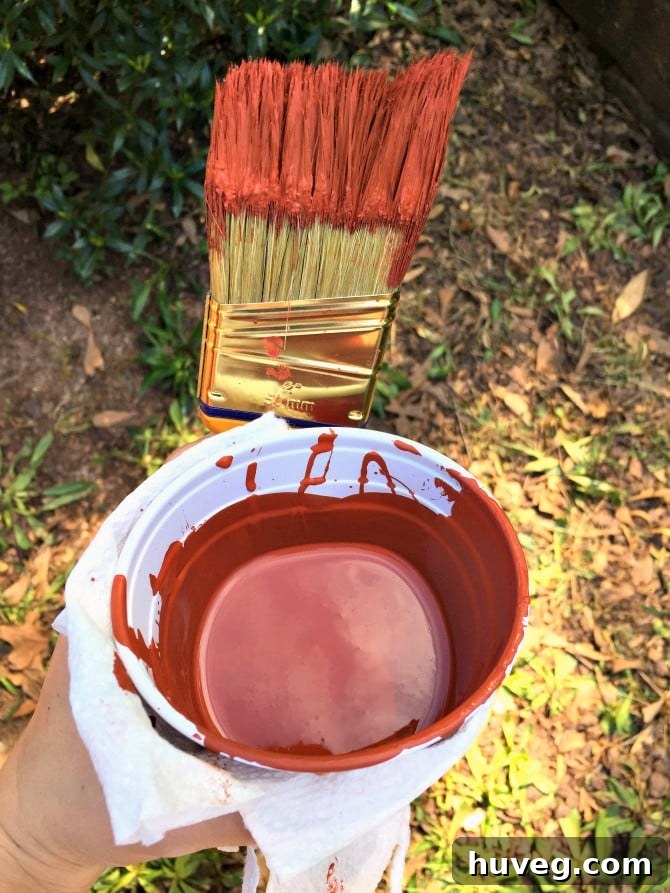 my paint brush