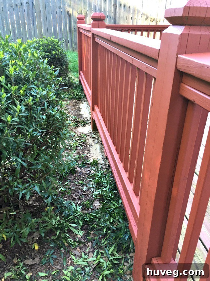 trim hedges