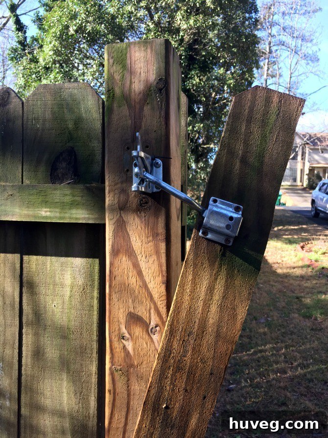 Broken fence latch, showing the damaged wooden picket where the latch was attached