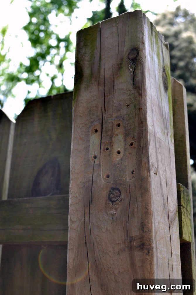 Close-up of old, rusty gate latch hardware being removed from the gatepost