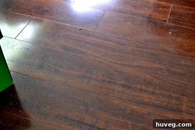 Dark floor covered in pet hair and dirt, showing need for Swiffer